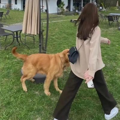 由内而外